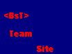 Сайт команды <BsT>